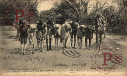 AUSTRALIA. WAITING FOR INSTRUCTIONS. ABORIGINAL MYSTIC BORA CEREMONY. - Aborigènes