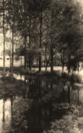 La Grimaudière * Carte Photo * Vue De Surin * Coin Du Village * Vienne - Autres & Non Classés