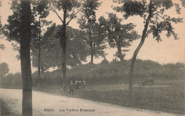 Belgique - Omal - Les Tombes Romaines - Edit. Henri Kaquet - Animé - Vache  - Carte Postale Ancienne - Geer