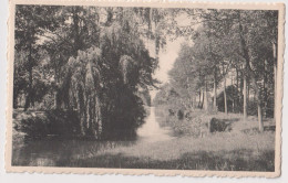 Kasterlee 1947; Langs De Mooie Nete Boorden - Gelopen. (Eug. Molenberghs - Kasterlee) - Kasterlee