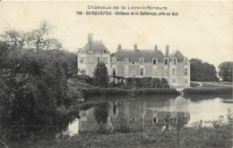 CARQUEFOU - Château De La Seilleraye, Pris Au Sud - Carquefou