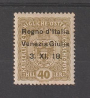 VENEZIA GIULIA - OCC. AUSTRIACA:1918  SOPRAST. -  40 H. OLIVA  L. -  4 SIGLE  TRA  CUI  A. DIENA+A.BOLAFFI  -  SASS. 10 - Vénétie Julienne