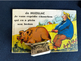 Muzillac * Carte à Système Ancienne Complète * Fermoir Métal * Cochon Pig - Muzillac