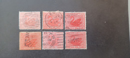 WESTERN AUSTRALIA 1885 SWAN CAT GIBBONS N 99 - Used Stamps