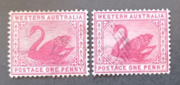 WESTERN AUSTRALIA 1888 SWAN CAT GIBBONS N 112 WMK CROWN CA - Usati