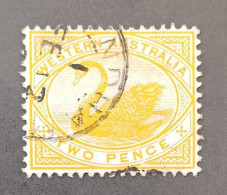 WESTERN AUSTRALIA 1899 SWAN CAT GIBBONS N 113 WMK 18 - Usati