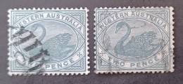 WESTERN AUSTRALIA 1888 SWAN CAT GIBBONS N 96 WMK CROWN CA - Used Stamps