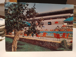 Cartolina  Selva Di Fasano Fa Parte Del Comune Di Fasano, In Provincia Di Brindisi,hotel Sierra Silvana 1971,piscina - Brindisi