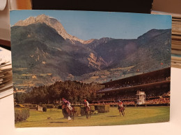 Cartolina Ippodromo Di Merano ,Maia 1977 - Merano