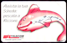 G 1046 C&C 3145 SCHEDA TELEFONICA NUOVA RICCIONE 99 PESCE 2^A QUALITA' OCR - Erreurs & Variétés