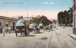 ESPAGNE - Tenerife - Rambla De Pulido - Charrette - Carte Postale Ancienne - Altri & Non Classificati