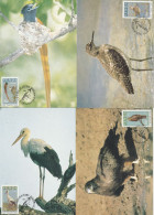 Venda - 1984 - Migratory Birds Zugvogel Vogel - Complete Set Maxi Maximum Cards - Venda