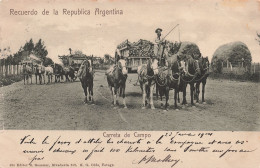 Argentine - Recuerdo De La Republica Argentina - Carreta De Campo - Editor R. Rosauer - Carte Postale Ancienne - Argentina