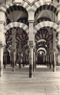 ARGENTINE - Cordoba - Laberinto De Columnas En La Mezquita - Carte Postale Ancienne - Argentinië