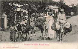 Antilles - Peasants On Their Return Home - H.S. Duperly - Photographer - Animé - Ane - Carte Postale Ancienne - Autres & Non Classés