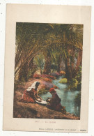 Publicité ,Maison Lassolle Lavignon & Le Gallic ,BISKRA, La Lessive,  225 X 150 Mm, Frais Fr 1.75 E - Publicités