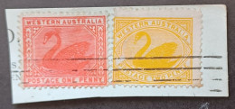 WESTERN AUSTRALIA 1902 SWAN CAT GIBBONS N 115 -116 FRAGMANT - Usati