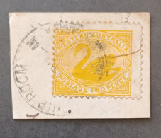 WESTERN AUSTRALIA 1902 SWAN CAT GIBBONS N 116 FRAGMANT - Usati