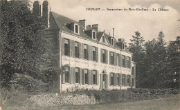 Cholet * Sanatorium Du Bois Grolleau * Le Château - Cholet