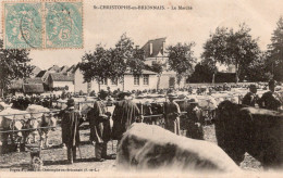 St Christophe En Brionnais Le Marché -  Bovin , Vache - Marchés