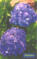 Brazil:Brasil:Used Phonecard, Telefonica, 30 Units, Flowers, Hortensia, 2000 - Brasilien