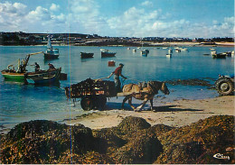 PLOUGUERNEAU LILIA - Transport Du Goëmon - Plouguerneau