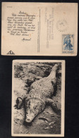 DEAR DOCTOR - MARINOL / 1948 GUYANE - CAYENNE - CP PUBLICITAIRE MEDICALE ==> FRANCE  (ref DD249) - Storia Postale