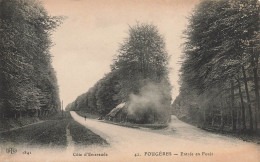 Fougères * Route De L'entrée En Forêt * Hutte De Sabotiers - Fougeres