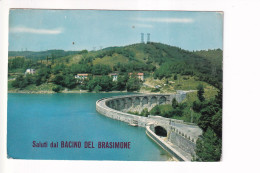 BACINO BRASIMONE - Imola