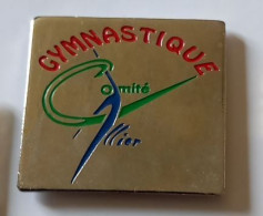 XX394 Pin's Gymnastique Comité Du Département De L'Allier à Cusset Achat Immédiat - Gymnastics