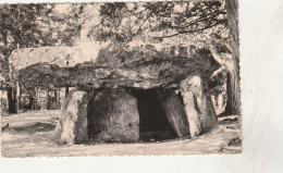CPSM PF - 37 - METTRAY - Dolmen - La Grotte Des Fées  - 041 - Mettray