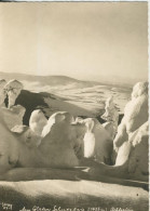 Am Glatzer Schneeberg - Schlesien - Von 1938 (44452) - Schlesien