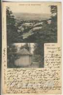 Gruss Aus Meiningen - 2 Ansichten - Von 1903 (10664) - Meiningen