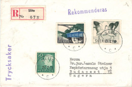 Reko SLITE 1968 > Budapest - Kanalbrücke - Kraniche - Covers & Documents