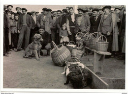 2 Cartes Postales Foire 8 Janvier 1957 Truffe Du Périgord Dordogne Lot Marché De Truffes De Montgesty Tartufo Champignon - Marchés