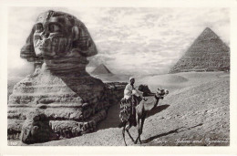 EGYPTE - CAIRO - Sphinx And Pyramids - Carte Postale Ancienne - Cairo