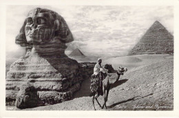 EGYPTE - CAIRO - Sphinx And Pyramids - Carte Postale Ancienne - Le Caire