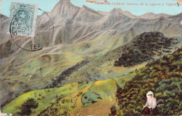 ESPAGNE - TENERIFE - Cumbre - Camino De La Laguna à Taranaria - Carte Postale Ancienne - Sonstige & Ohne Zuordnung