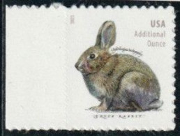 Etats-Unis 2021 Yv. N°5395 - Lapin De Bachman - Neuf - Unused Stamps