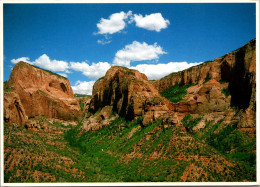 Utah Zion National Park Kolob Section Finger Canyon 1990 - Zion