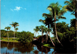 Florida Miami Doral's Tropical Gardens - Miami