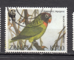 #13, Zambie, Zambia, Perroquet, Parrot, Oiseau, Bird, Wwf - Zambia (1965-...)