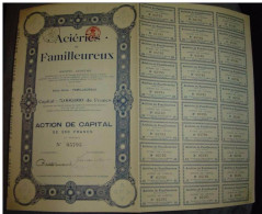 Action " Aciéries De Familleureux " Seneffe Fonte ,acier Métaux 1920 - Industrie