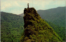 Great Smoky Mountains National Park Peregrine Peak 1964 - USA Nationalparks