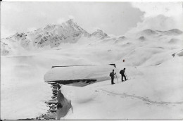 Carte Photo - Sport Et Paysages D'hiver - Sports D'hiver