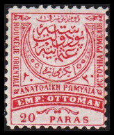 1884. ROUMELIE ORIENTALE 20 PARAS Perforated 11½ Never Hinged. This Stamp Was Never Used By... (Michel III B) - JF527392 - Eastern Romelia