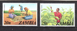 Zambia - 1975. Coltivazione Arachidi E Tabacco. Cultivation Peanuts And Tobacco. MNH - Agriculture