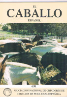 Revista El Caballo Español 6/91 Asociacion Nacional De Criadores De Caballos Pura Raza Española - Non Classés