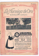 REVISTA LA HORMIGA DE ORO ILUSTRACIÓN CATÓLICA Nº 28 BARCELONA 1924 ** - Unclassified