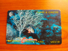 Turks And Caicos Islands - Redband Parrotfish And Coral - 4CTCA - Turks & Caicos (Islands)